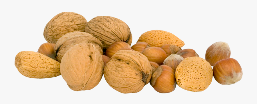 Clip Art Transparent Image Pngpix - Transparent Nut Png, Transparent Clipart