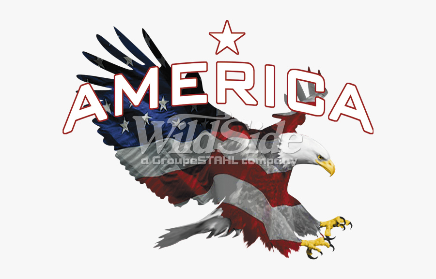 Eagle Eye - Bald Eagle, Transparent Clipart