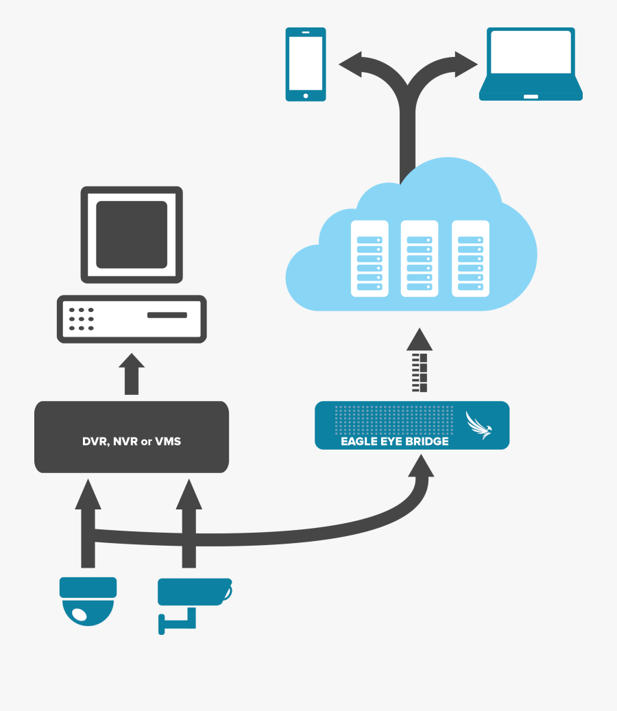 Eagle Eye Cloud Video Replication Clipart , Png Download - Eagle Eye Networks, Transparent Clipart