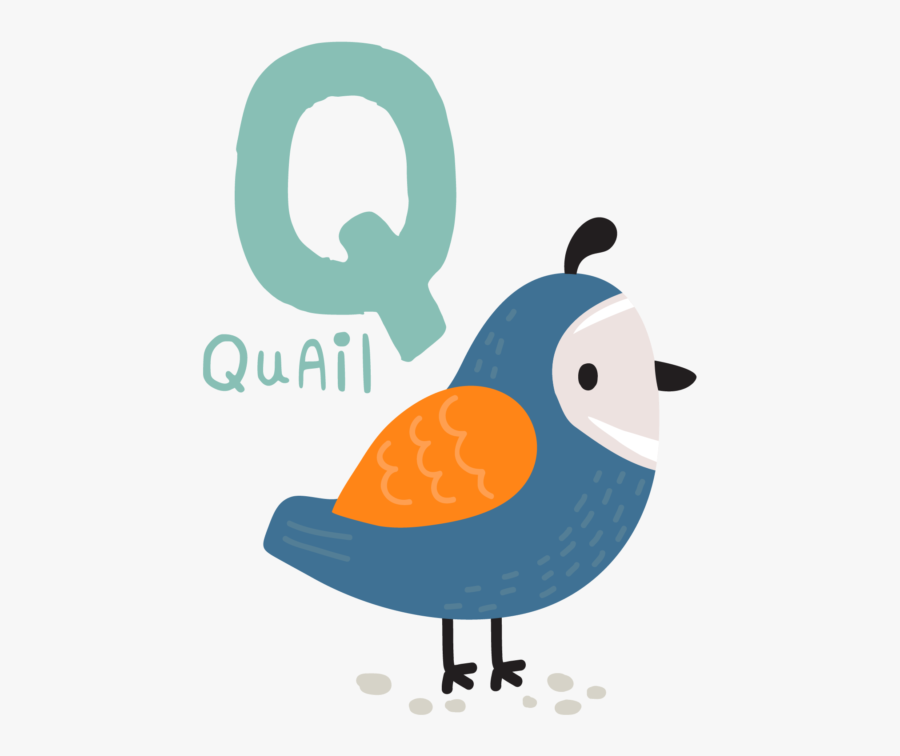 Words Pot Start With Q, Transparent Clipart