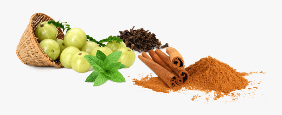 Download Ayurveda Png Hd - Ayur Care Llc Wellness Centre, Transparent Clipart