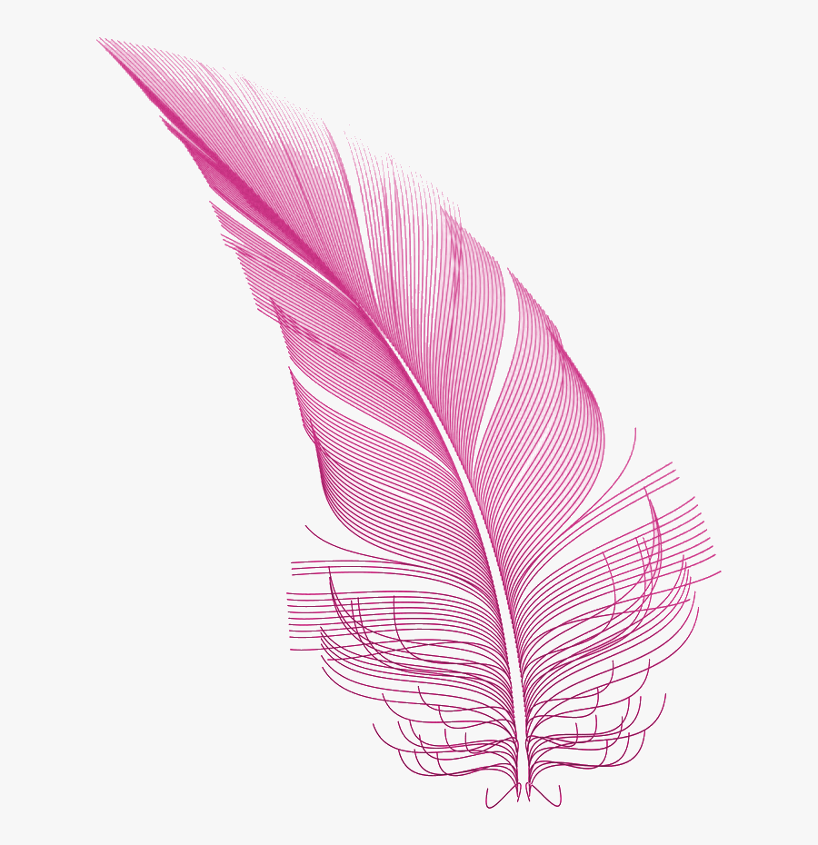 Transparent Pink Feather Png, Transparent Clipart