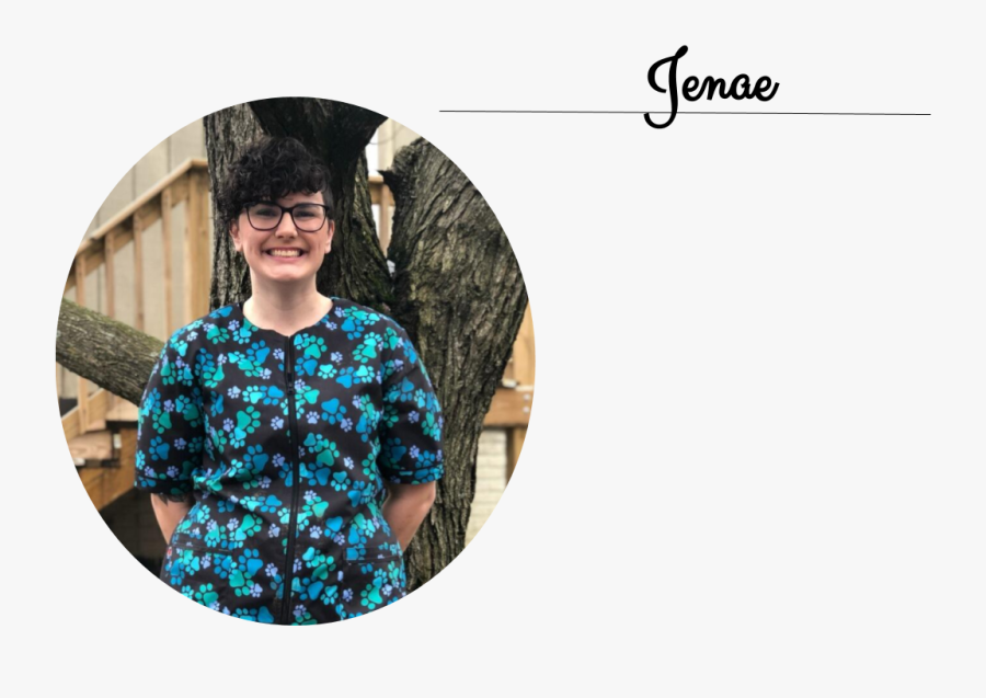 Girl, Transparent Clipart