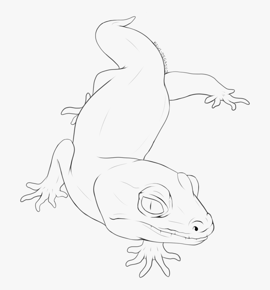 Gecko Lizard Lineart - Leopard Gecko Lineart Base, Transparent Clipart