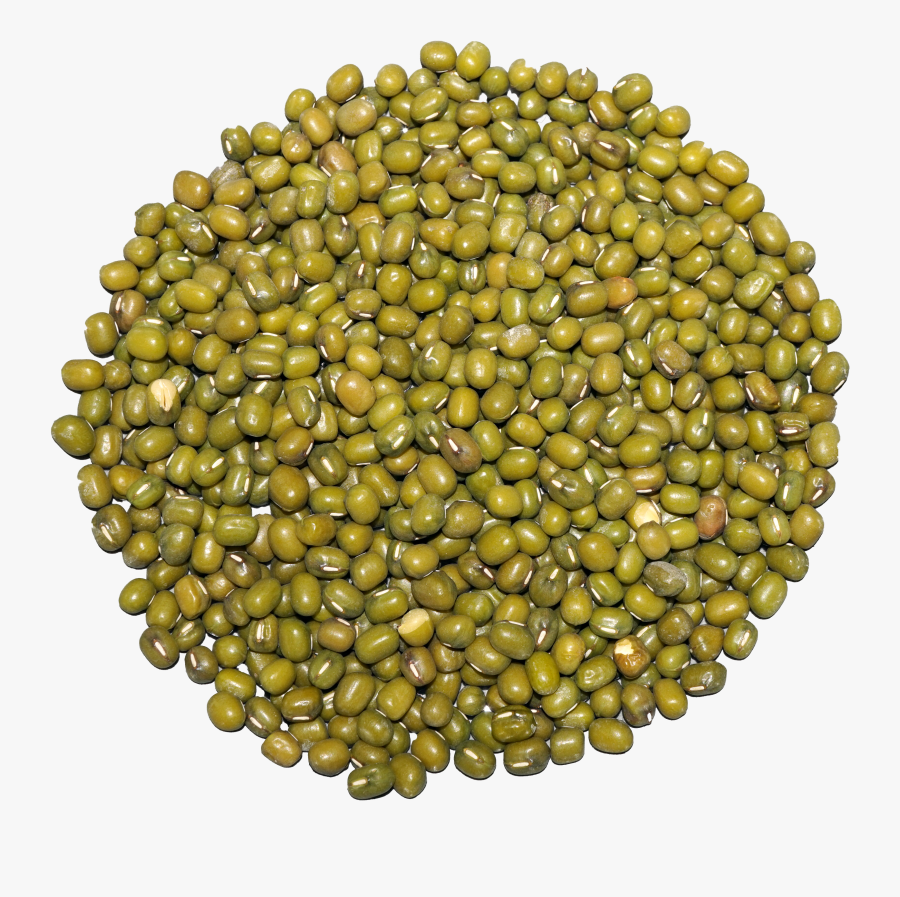 Clip Art File Mung Wikimedia Commons, Transparent Clipart