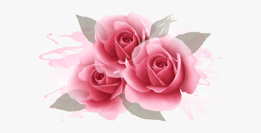 Clip Art Banner Web Rose - Rose Banner Png, Transparent Clipart
