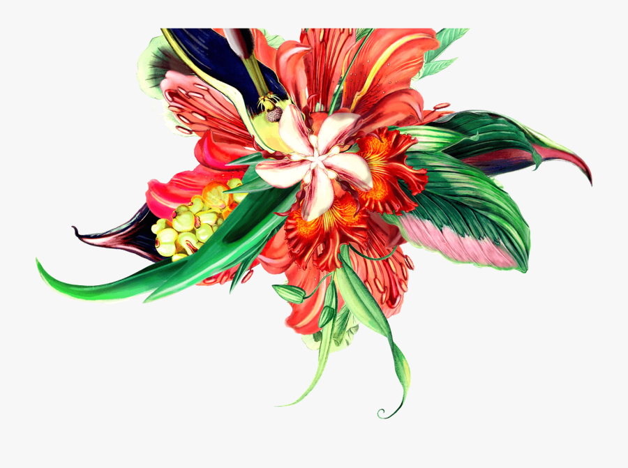 Bouquet - Lily Family, Transparent Clipart