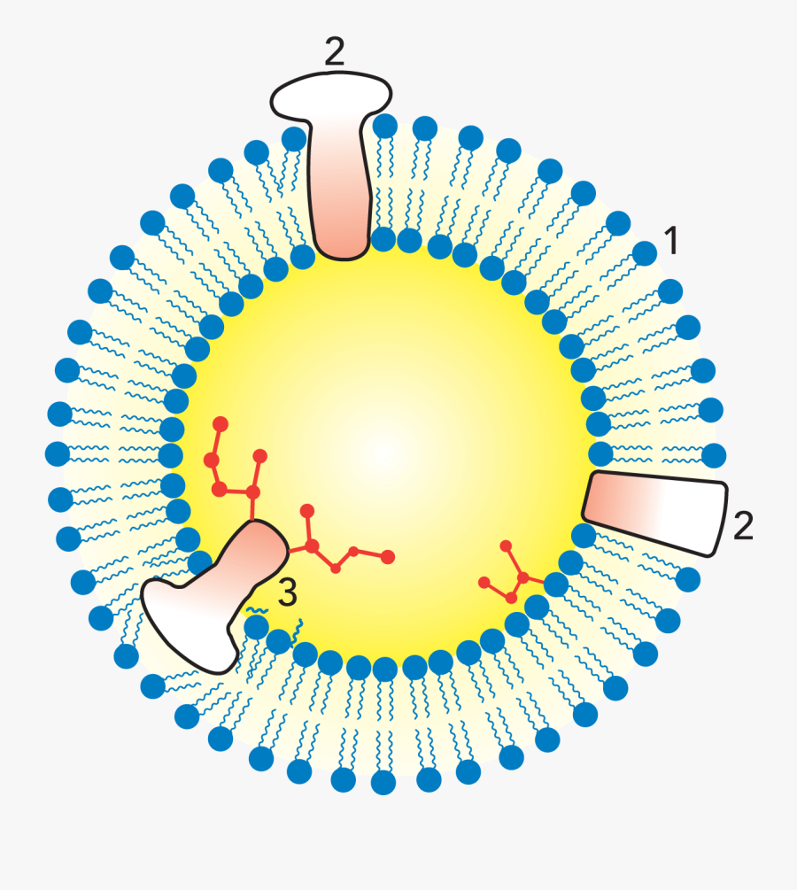 Medallion Mosaic Tile Entryway, Transparent Clipart