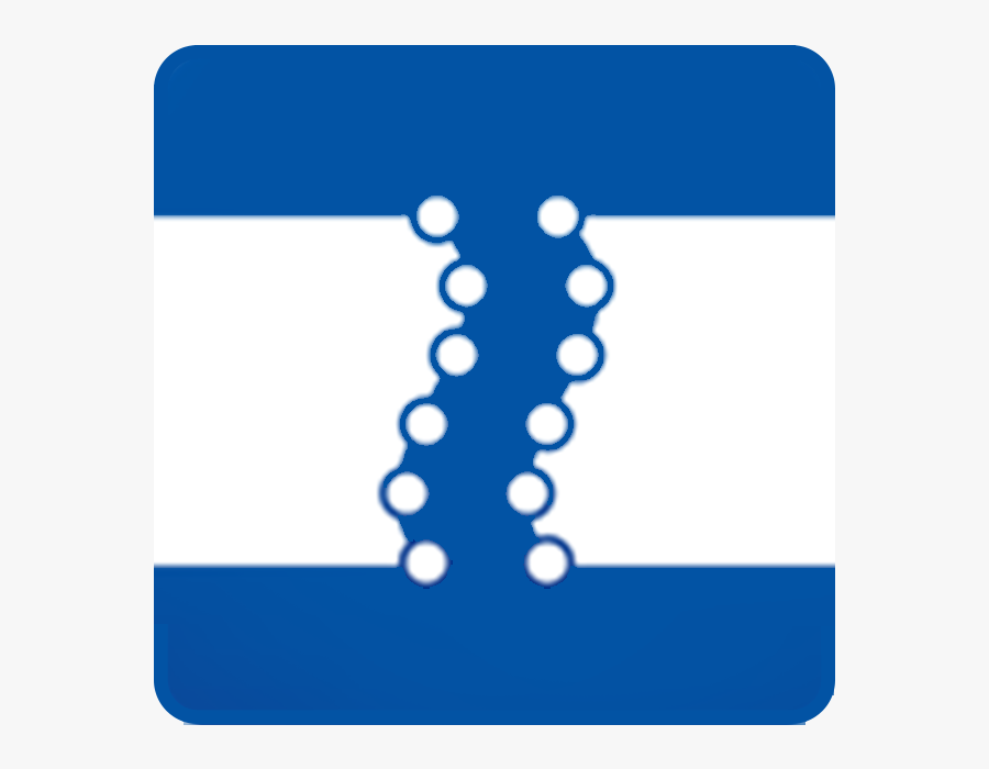 Muvicyte Scratch Wound Analysis Software, Transparent Clipart