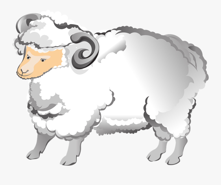 Ram, Sheep, Horns, Farm, Animal, Fluffy, Mammal, Male - Sheep, Transparent Clipart