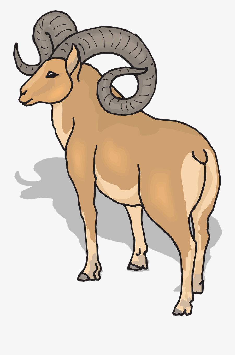 View Shadow Sheep - Ram Clipart, Transparent Clipart