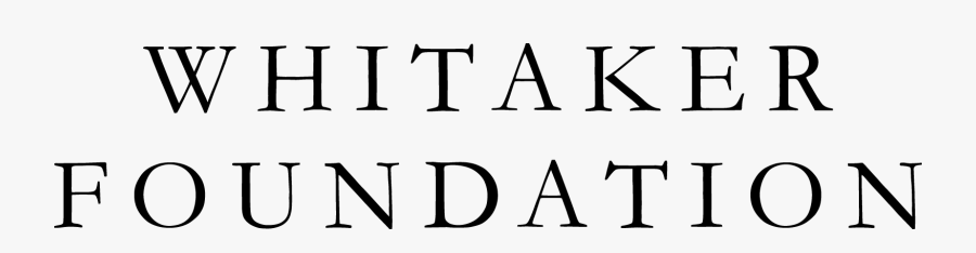 Whitakerfoundation Black - Jack Wills, Transparent Clipart