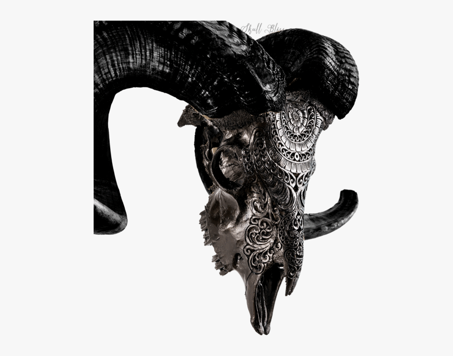 Carved Ram Skull - Black Carved Ram Skull, Transparent Clipart