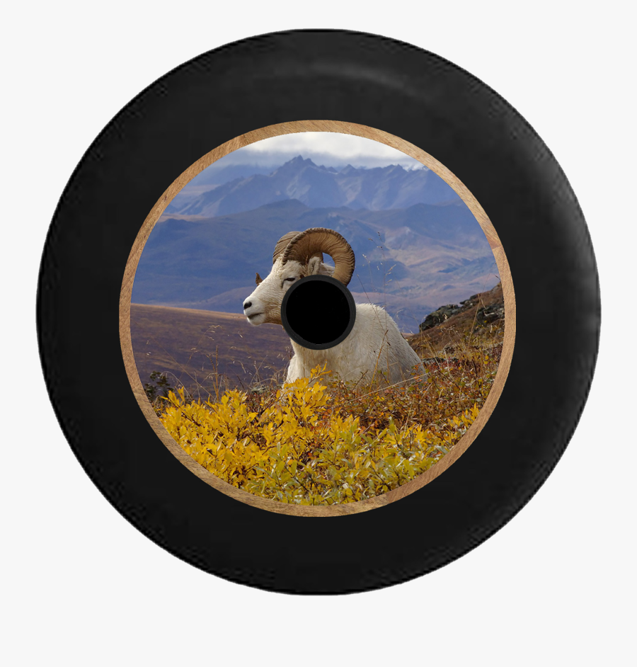Jeep Wrangler Jl Backup Camera Ram Horns In The Mountain - Denali National Park, Transparent Clipart