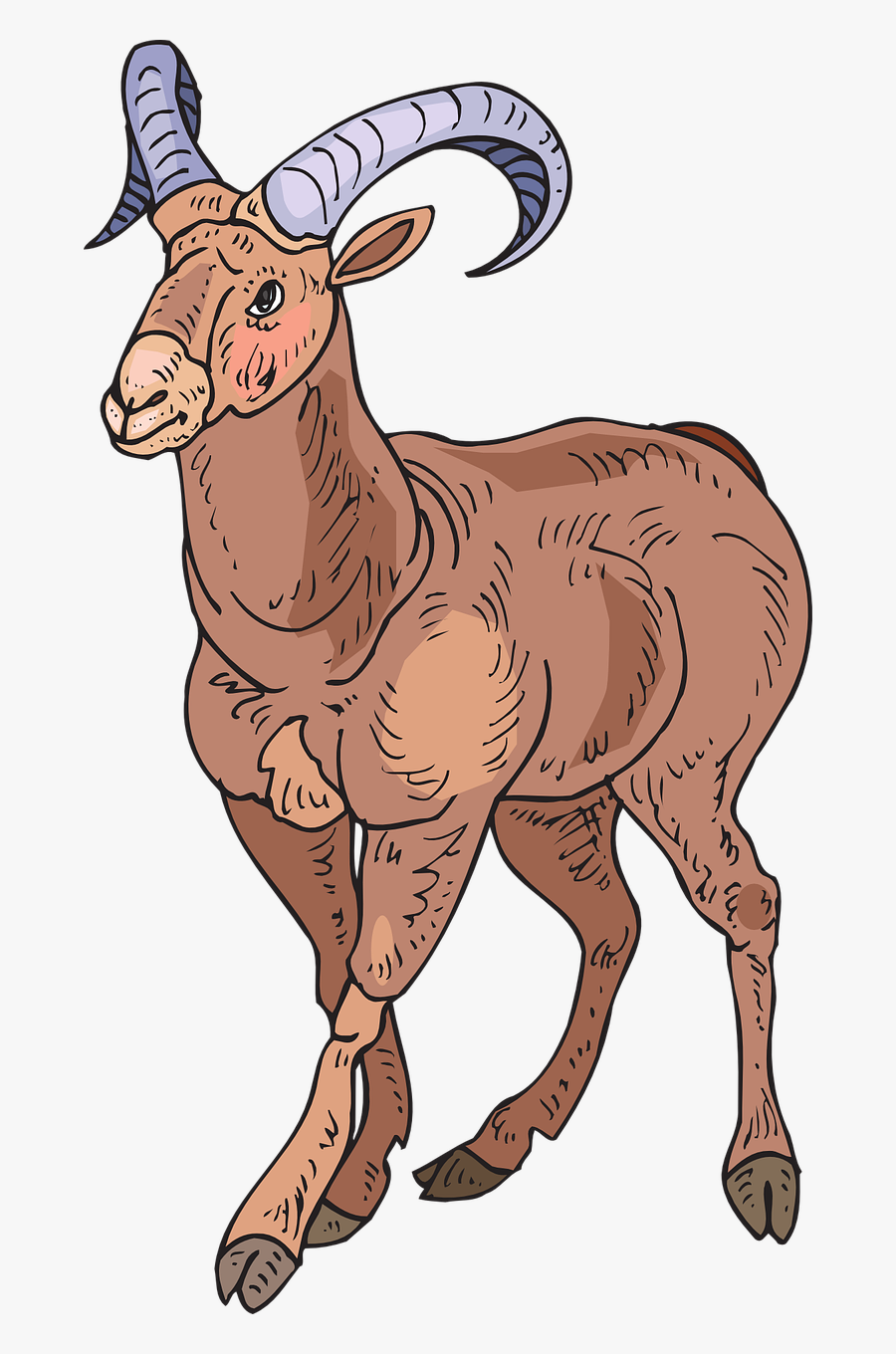 Horn Clipart Sheep Horn - Desert Bighorn Sheep Clipart, Transparent Clipart