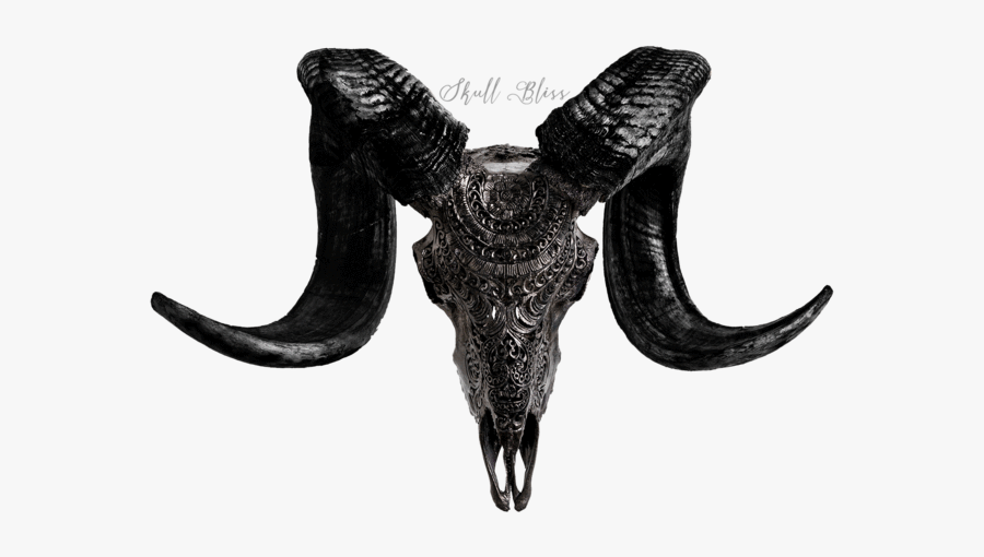 Carved Ram Skull - Skull Ram Png, Transparent Clipart