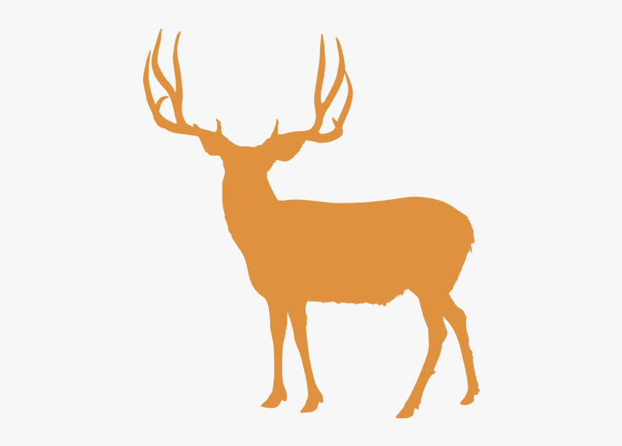 Hunts Antler Canyon Outfitters - Mule Deer Head Silhouette , Free Transpare...