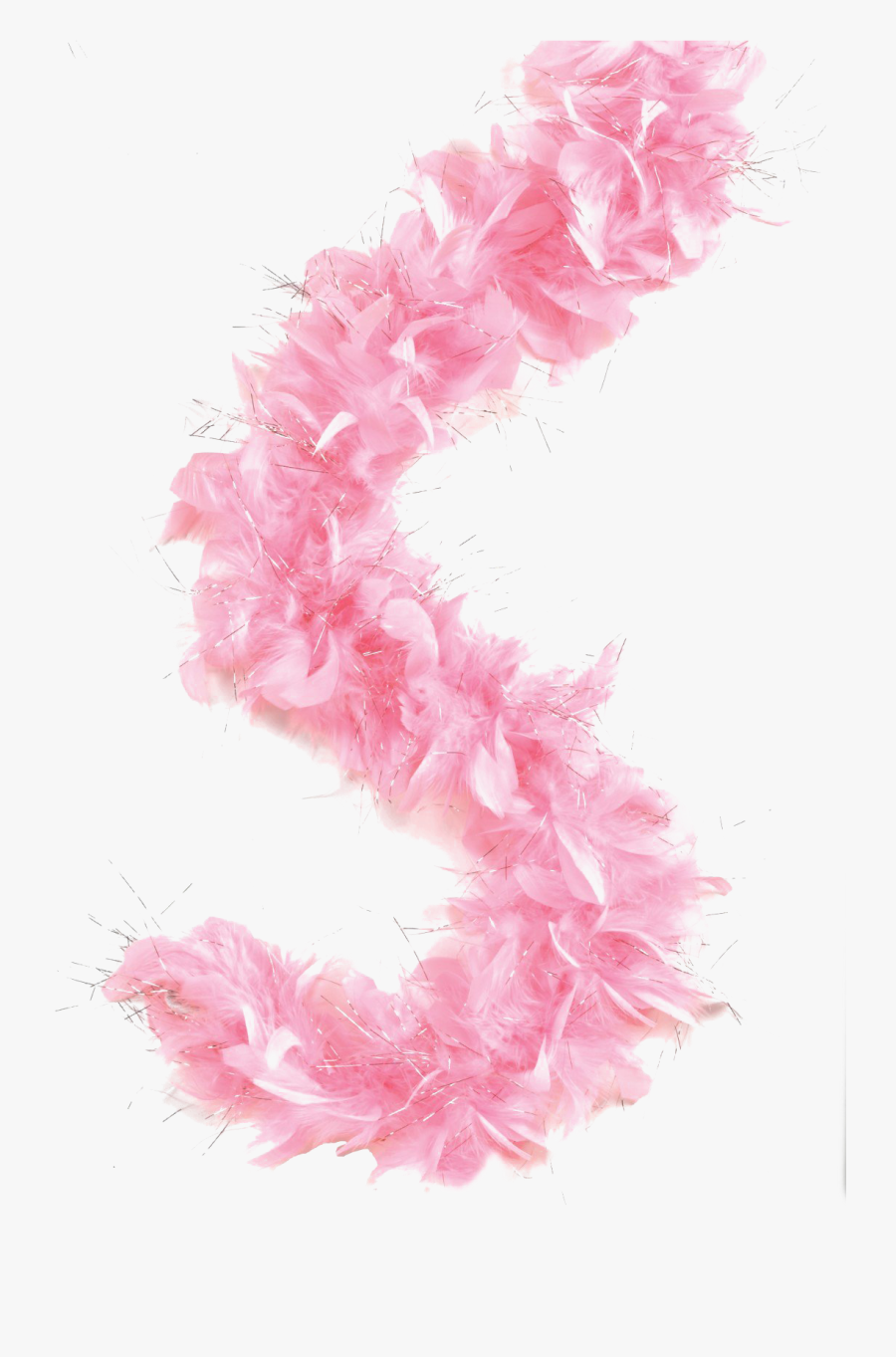 Transparent Boa Png Feather Boa Png , Free Transparent Clipart