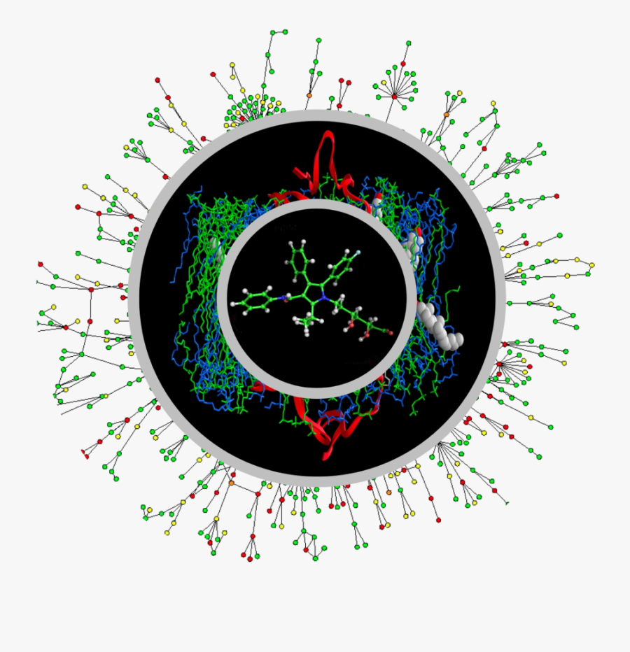 Aimms1 - Protein Protein Interaction Yeast, Transparent Clipart