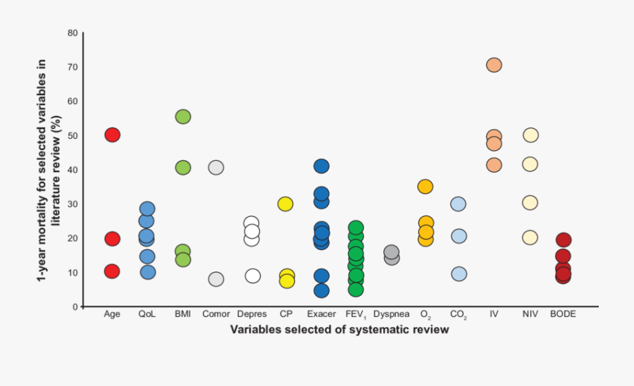 Systematic Review, Number Of Studies And 1-year Mortality - Circle, Transparent Clipart