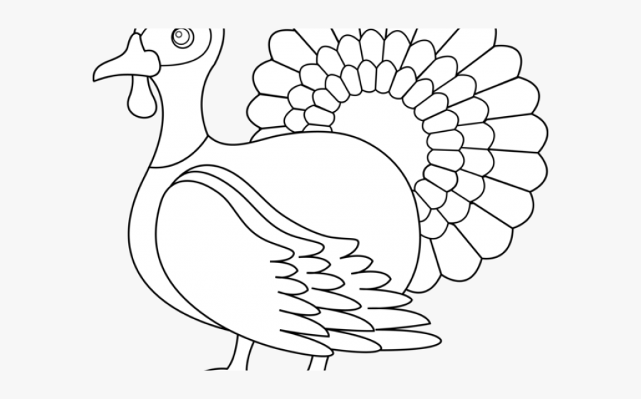 Black Clipart Turkey - Turkey Line Art, Transparent Clipart