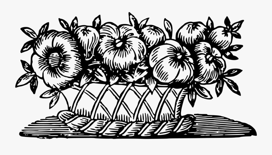 Clipart Of Flowers Medium - Basket Flowers Picture For Drawing, Transparent Clipart