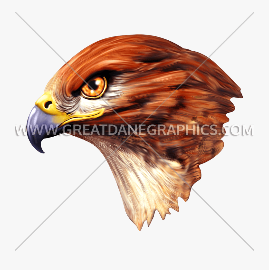 Production Ready Artwork For - Golden Eagle, Transparent Clipart