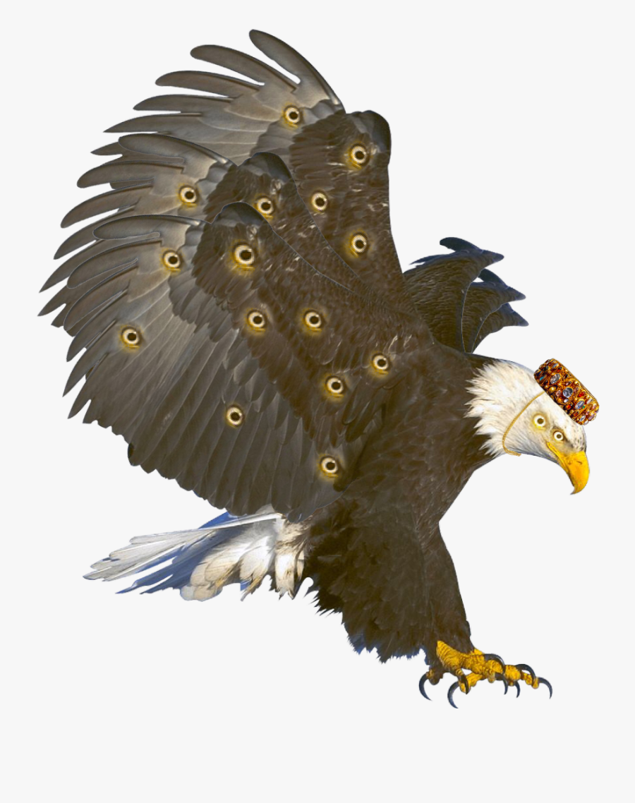 Transparent Seraphim Clipart - Clip Art Bald Eagle, Transparent Clipart