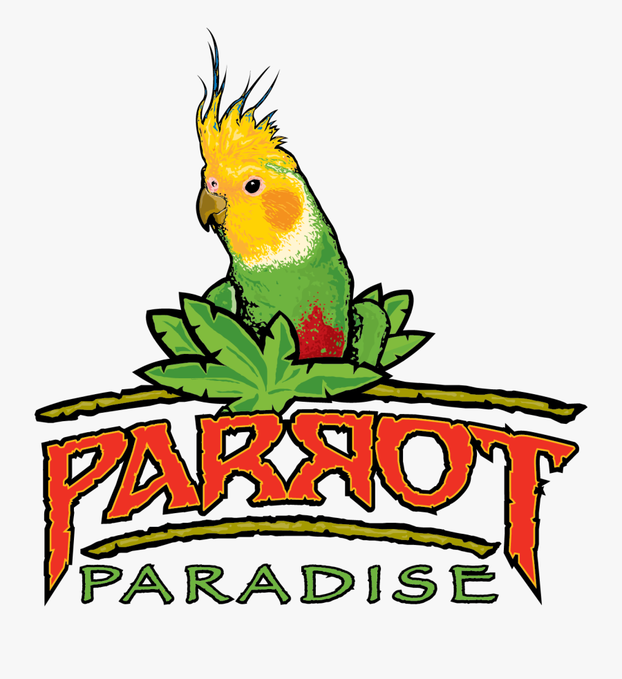 Fort Worth Zoo Png - Cockatiel, Transparent Clipart