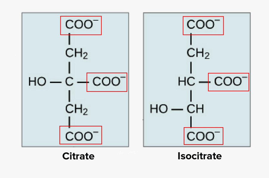 Citric Acid Linear Structure, Transparent Clipart