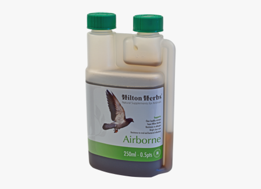 Hilton Herbs Immunity Plus, Transparent Clipart