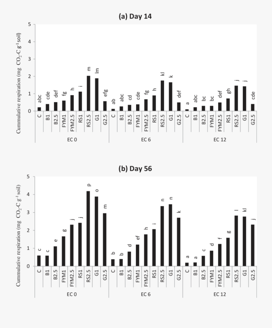 Cumulative Respiration In Soil Samples Irrigated With - Metropolitan Area, Transparent Clipart