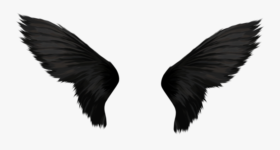 Wings Png - Black Angel Wings Transparent, Transparent Clipart