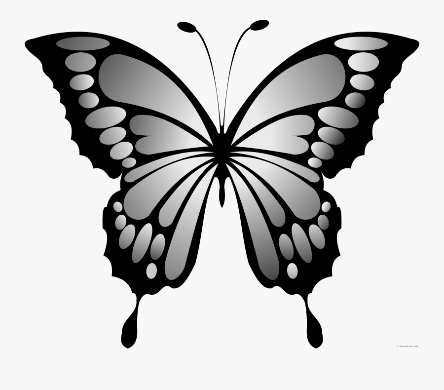Wonderful Butterfly Animal Free Black White Clipart - Blue Butterfly Clipart, Transparent Clipart