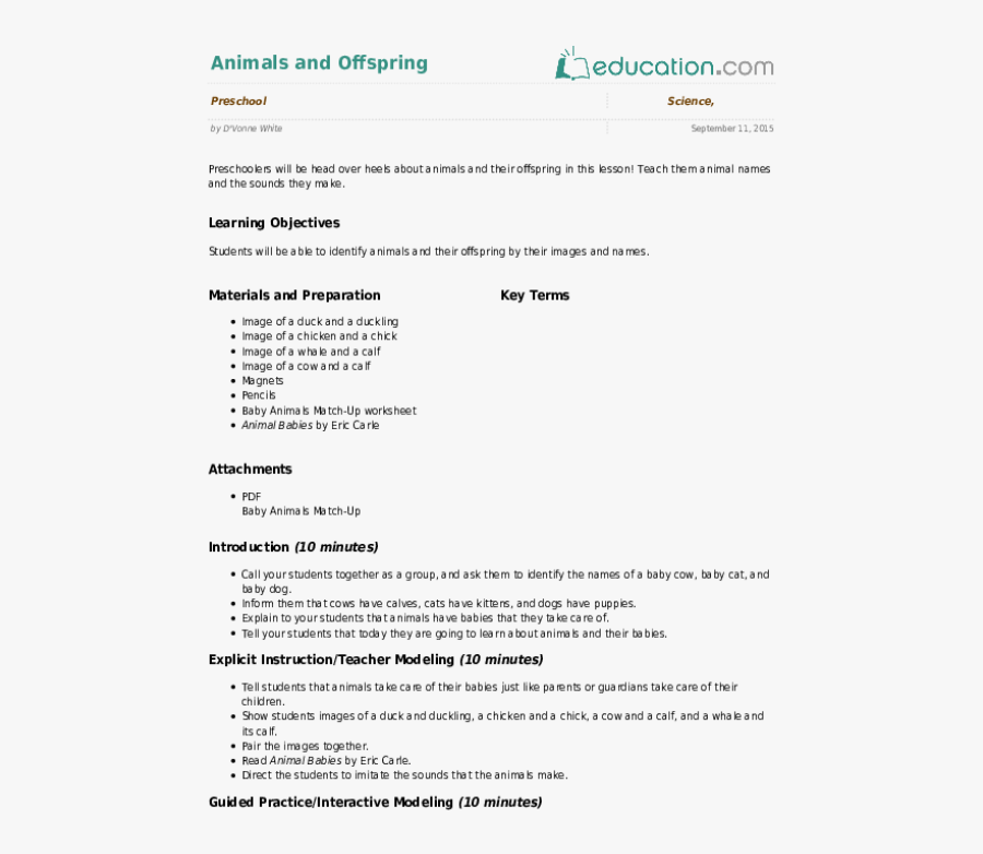 Animals And Offspring Lesson - Noun Lesson Plan, Transparent Clipart
