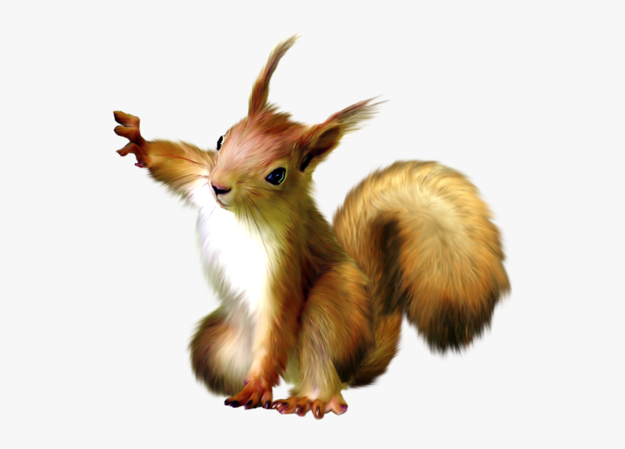 Squirrel Png Transparent, Transparent Clipart