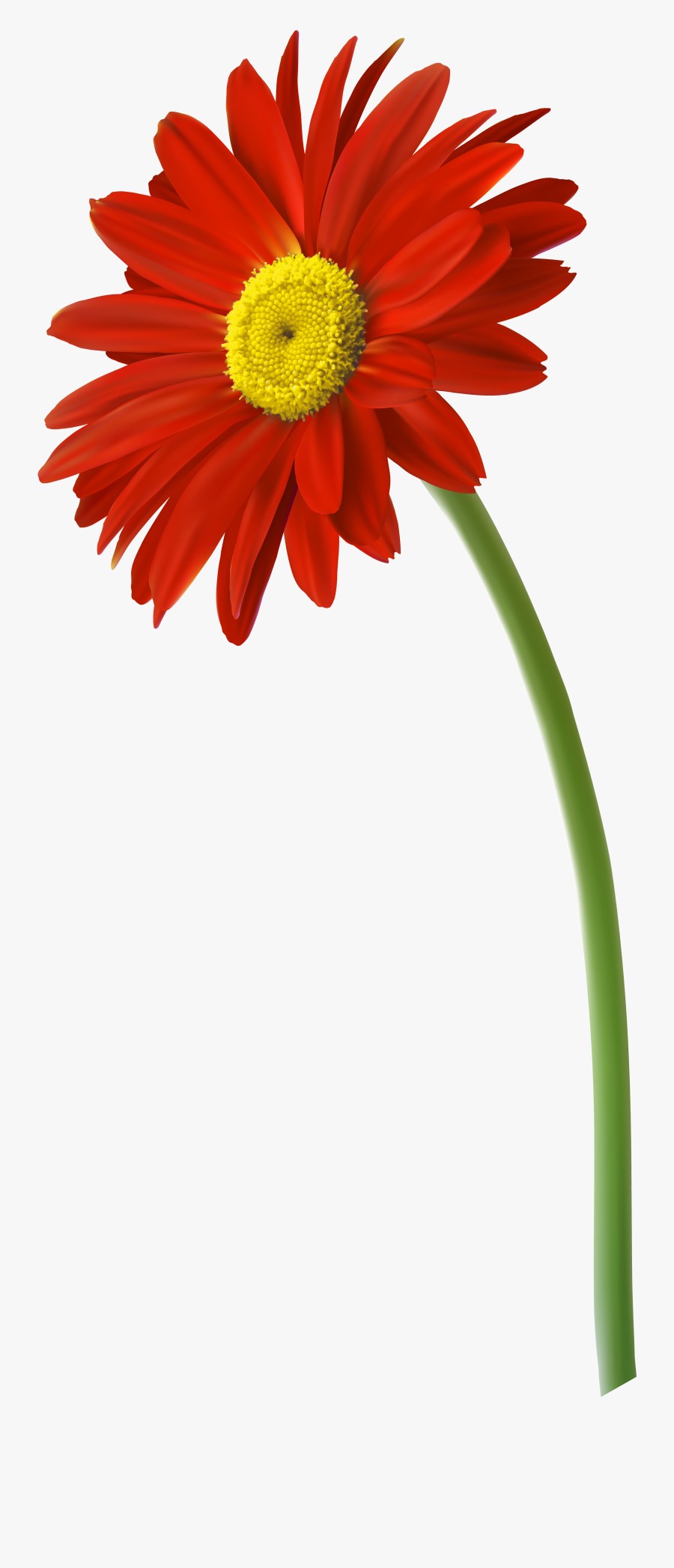 Red Gerbera Flower Png Clip Art Imageu200b Gallery - Gerbera Png, Transparent Clipart