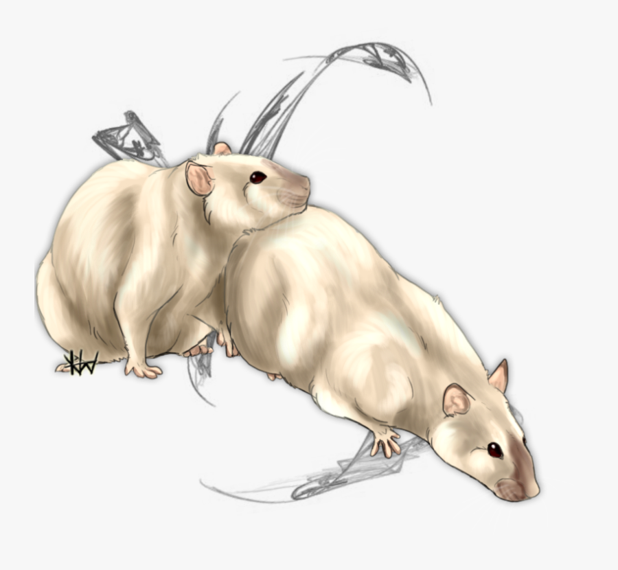 Transparent Wheatley Png - Rat, Transparent Clipart