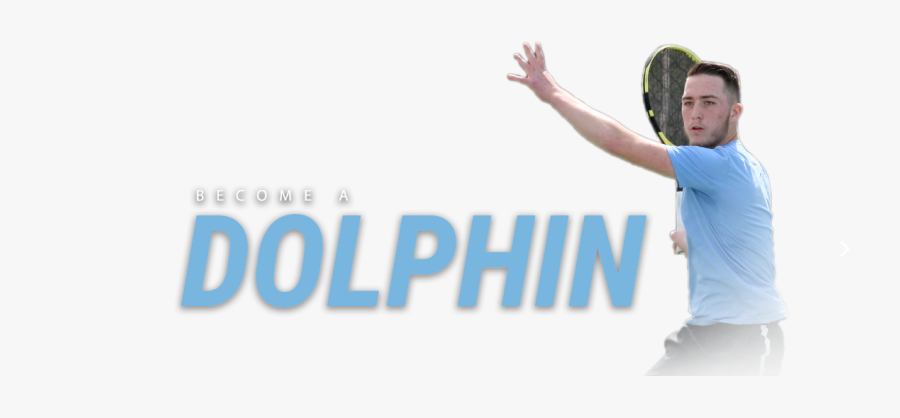 Tennis Net Clipart, Transparent Clipart