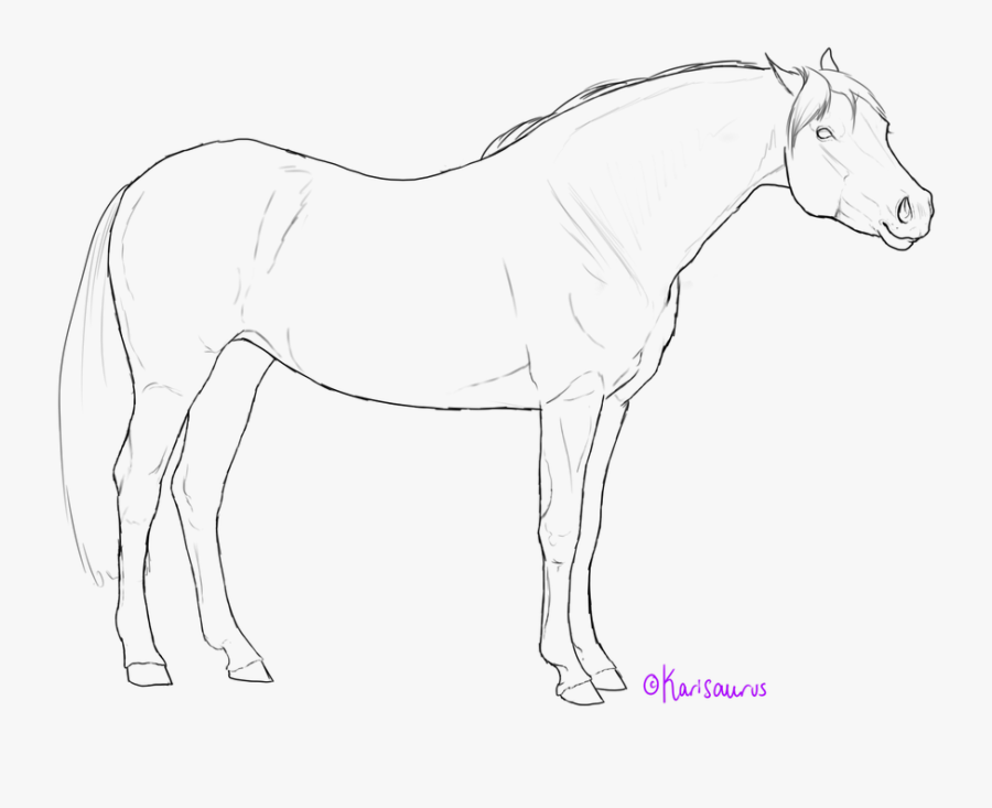 Pony Images Lineart - Mane, Transparent Clipart
