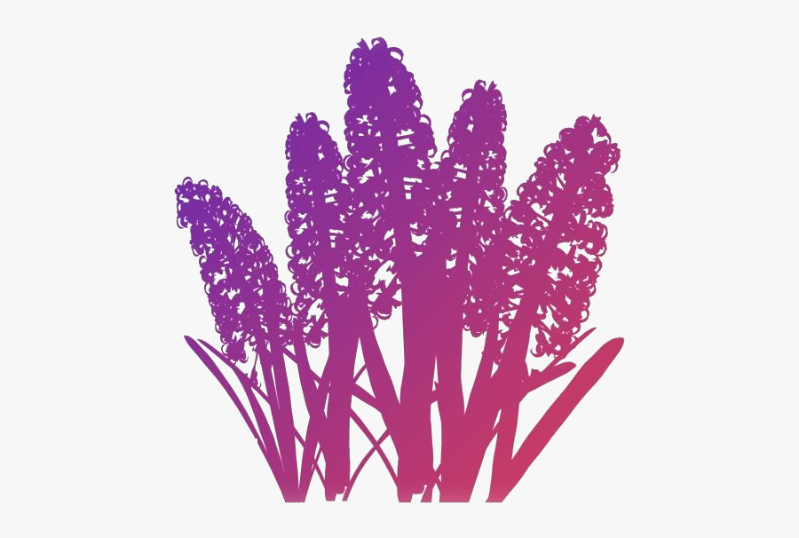 Hyacinth Flower Png Free Transparent Clipart - Flower, Transparent Clipart