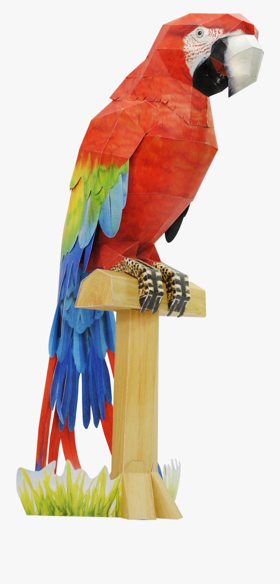 Parrot Clipart Hyacinth Macaw - Scarlet Macaw Papercraft, Transparent Clipart