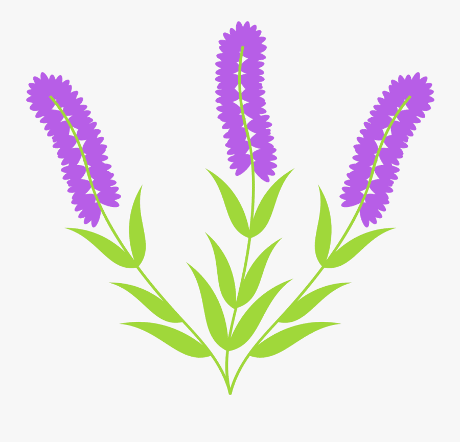 Flower , Png Download, Transparent Clipart