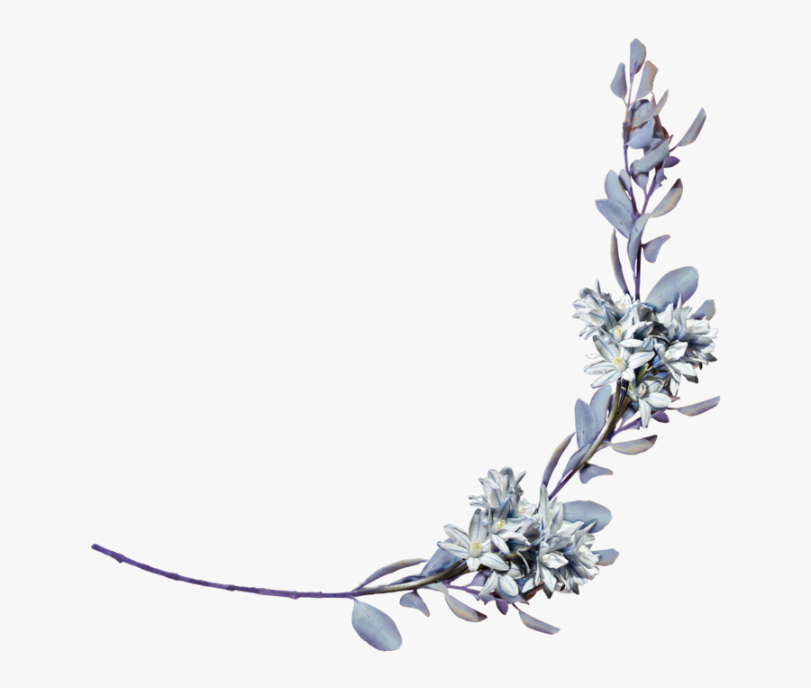 Laurel Branch Png - Hinglish Poem, Transparent Clipart