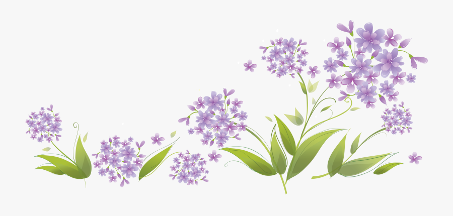 Agapanthus Png Clipart, Transparent Clipart