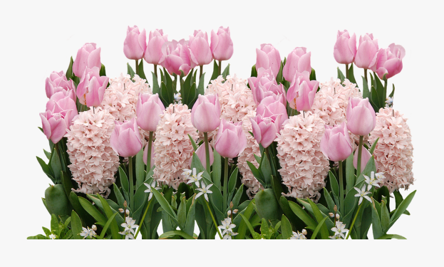 Easter Spring Flowers, Transparent Clipart