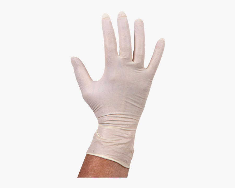 Handschoenen Latex Gepoederd Van Der Windt, Transparent Clipart