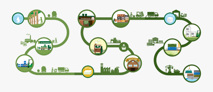 Natural Rubber Process - Rubber Product Infographic, Transparent Clipart