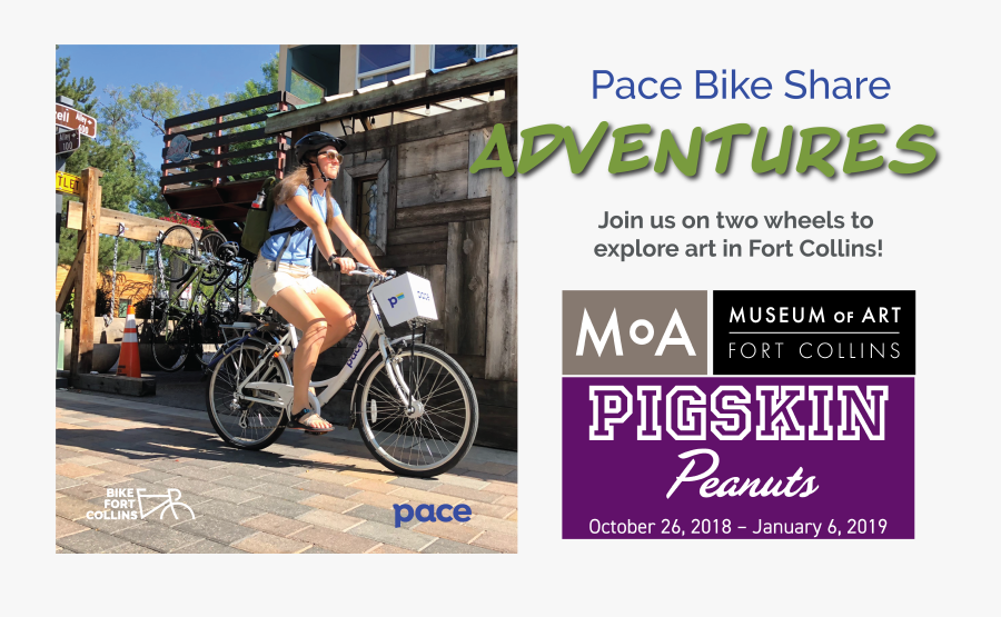 Flyer, Transparent Clipart