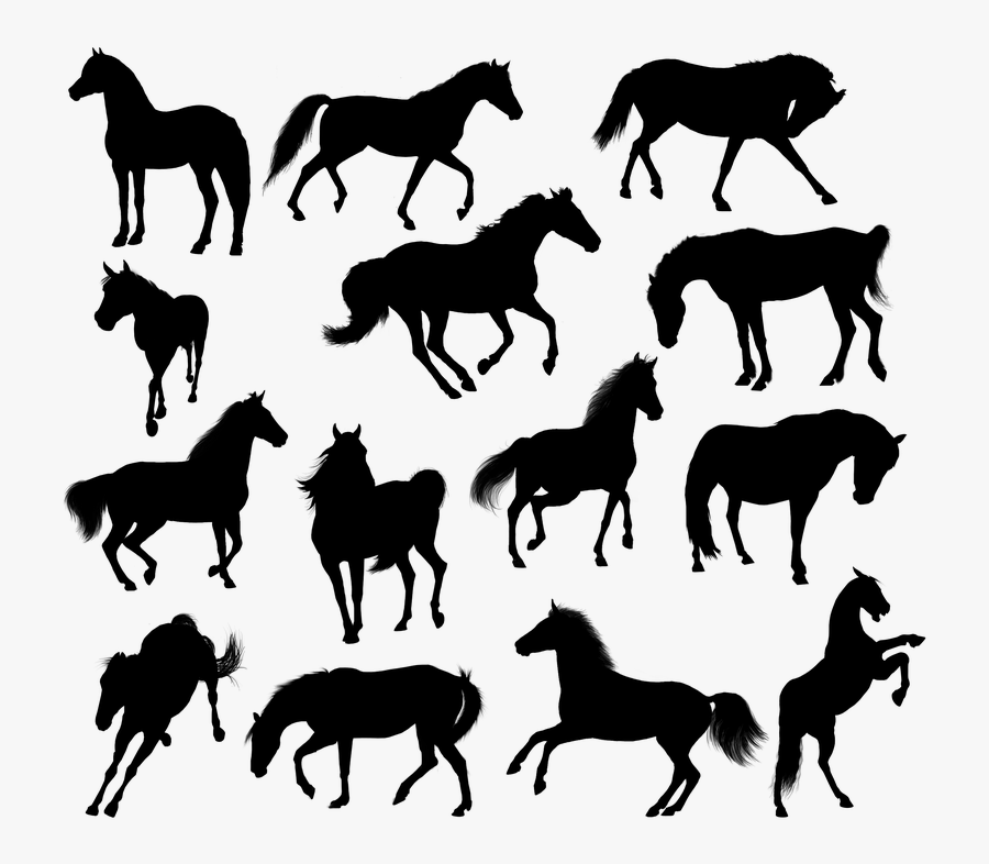 Transparent Running Horse Silhouette Png - Silhouette, Transparent Clipart